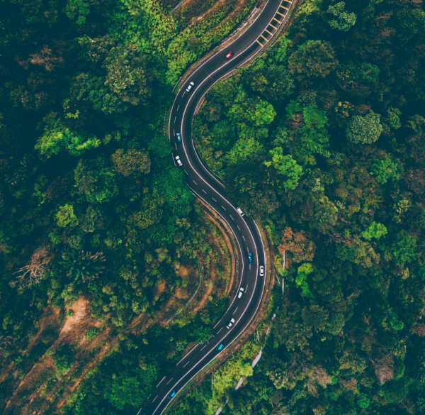 Nyungwe Canopy Group Tour get in touch